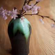 Flower Vase